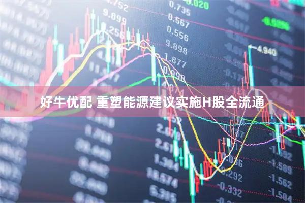 好牛优配 重塑能源建议实施H股全流通
